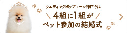 ポップコーン神戸では4組に1組がペット参加の結婚式