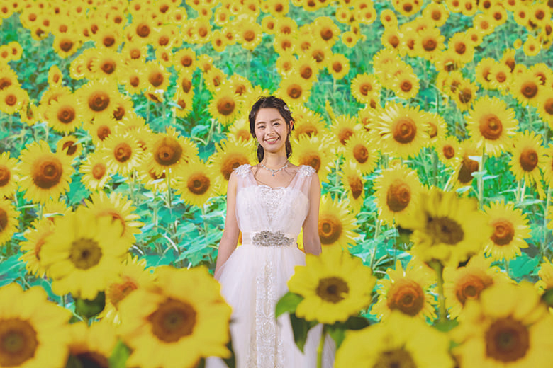 4K HIVISION WEDDING 4Kハイビジョンウエディング