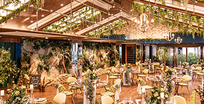 Applaudir アプロディール